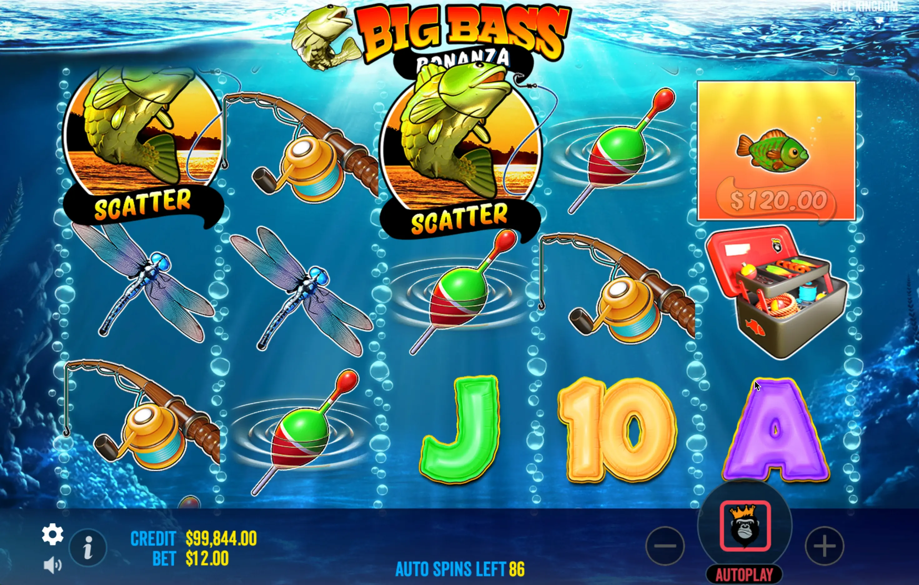 Download Big Bass Bonanza Game App