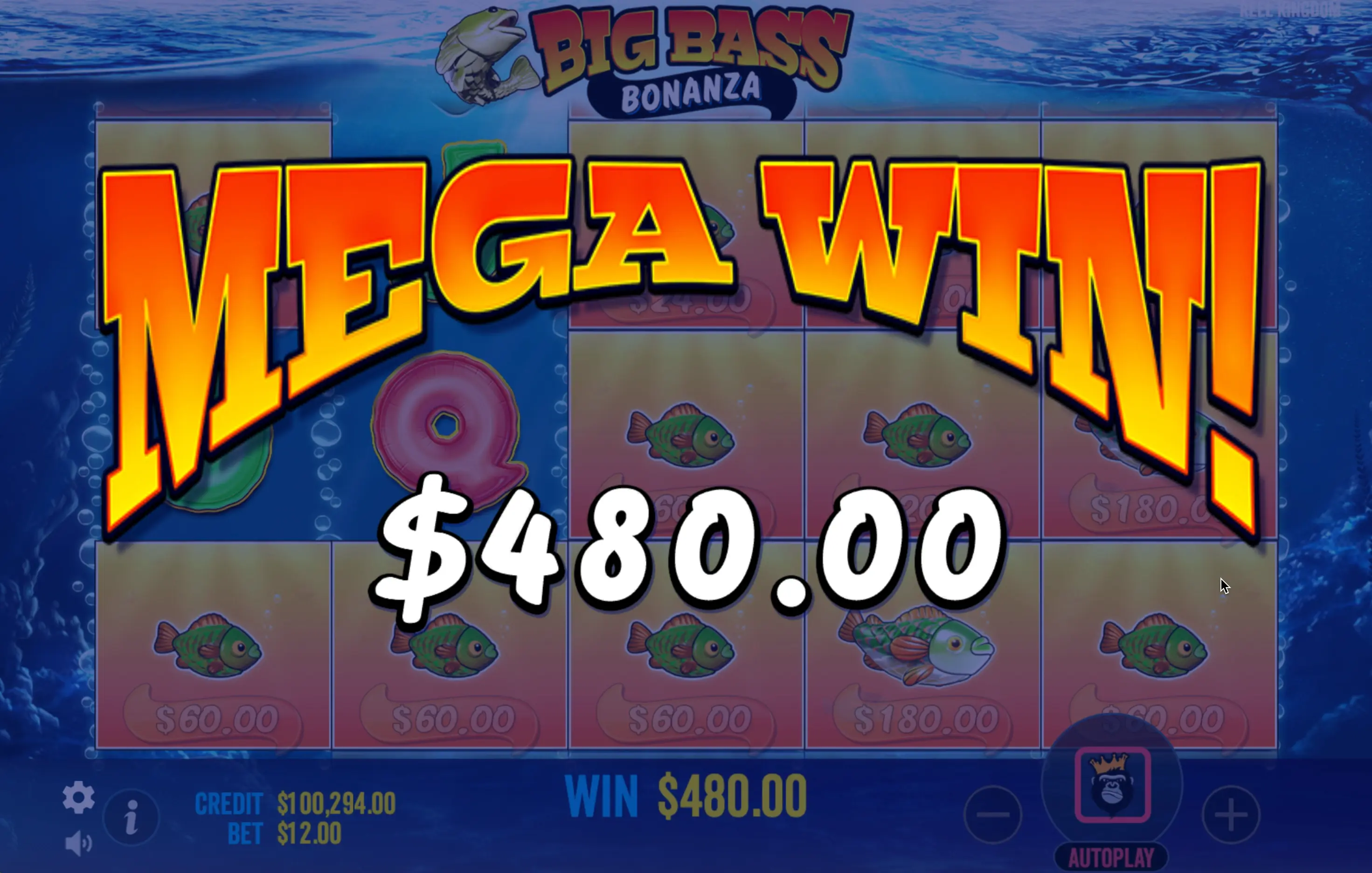 Big Bass Bonanza download iPhone